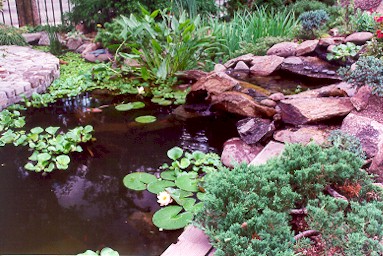 RING00_pond1.jpg (54869 bytes)