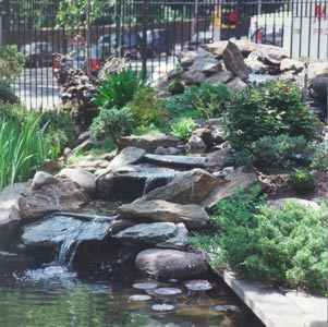 RING2001-waterfalls.jpg (248217 bytes)
