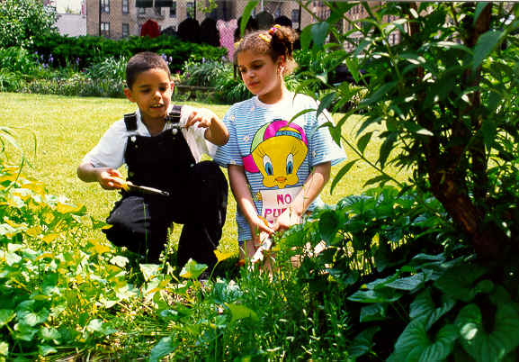 RING98 Tykes and worm.tif (696066 bytes)