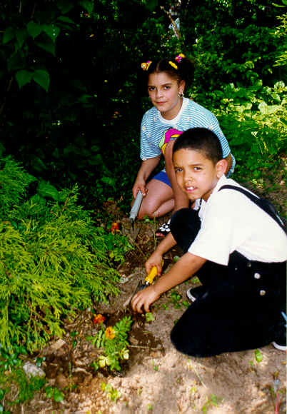 RING98 Tykes planting.tif (699684 bytes)