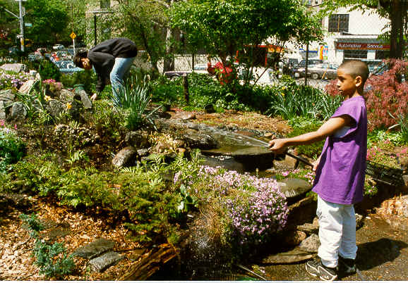 RING98 kidwatering.tif (697272 bytes)